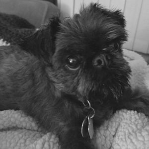 Meet your Posher, Heidi